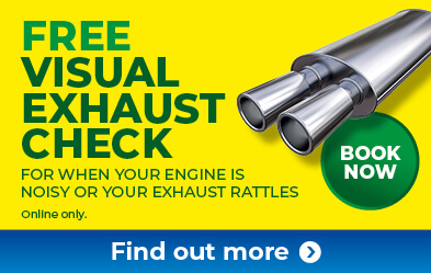 Free Visual Exhaust Check